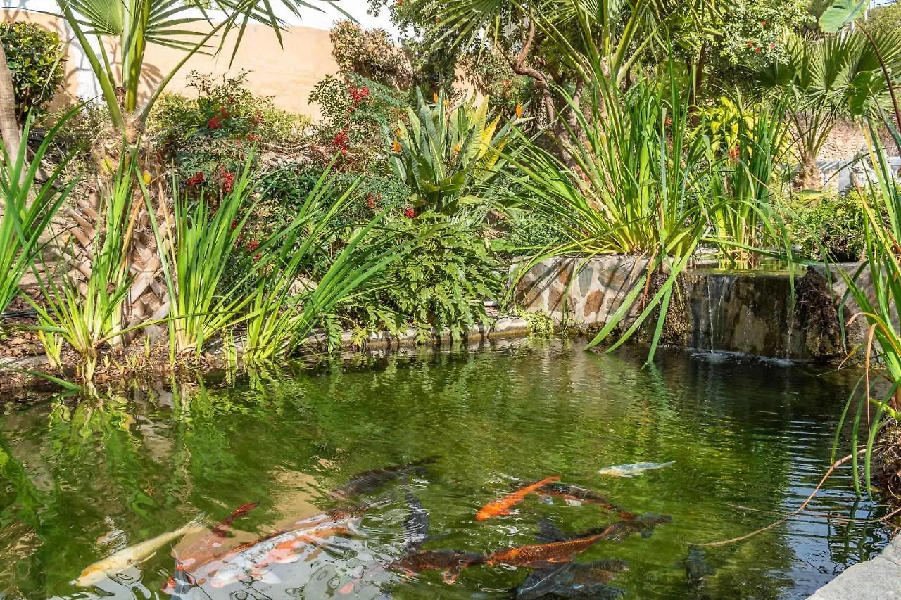 Rabat 6 Oasis Properties 内尔哈