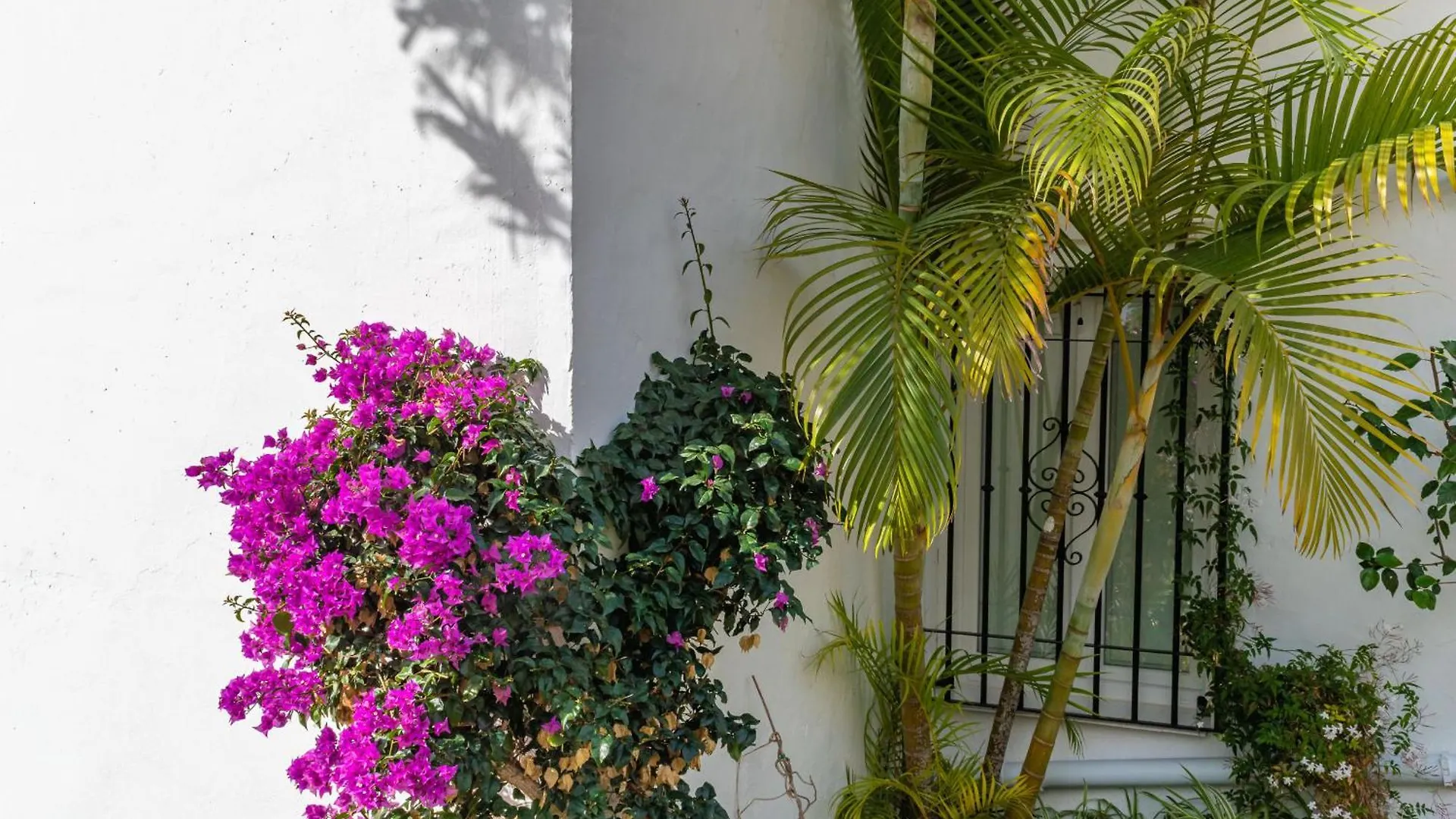 Rabat 6 Oasis Properties Nerja Spain