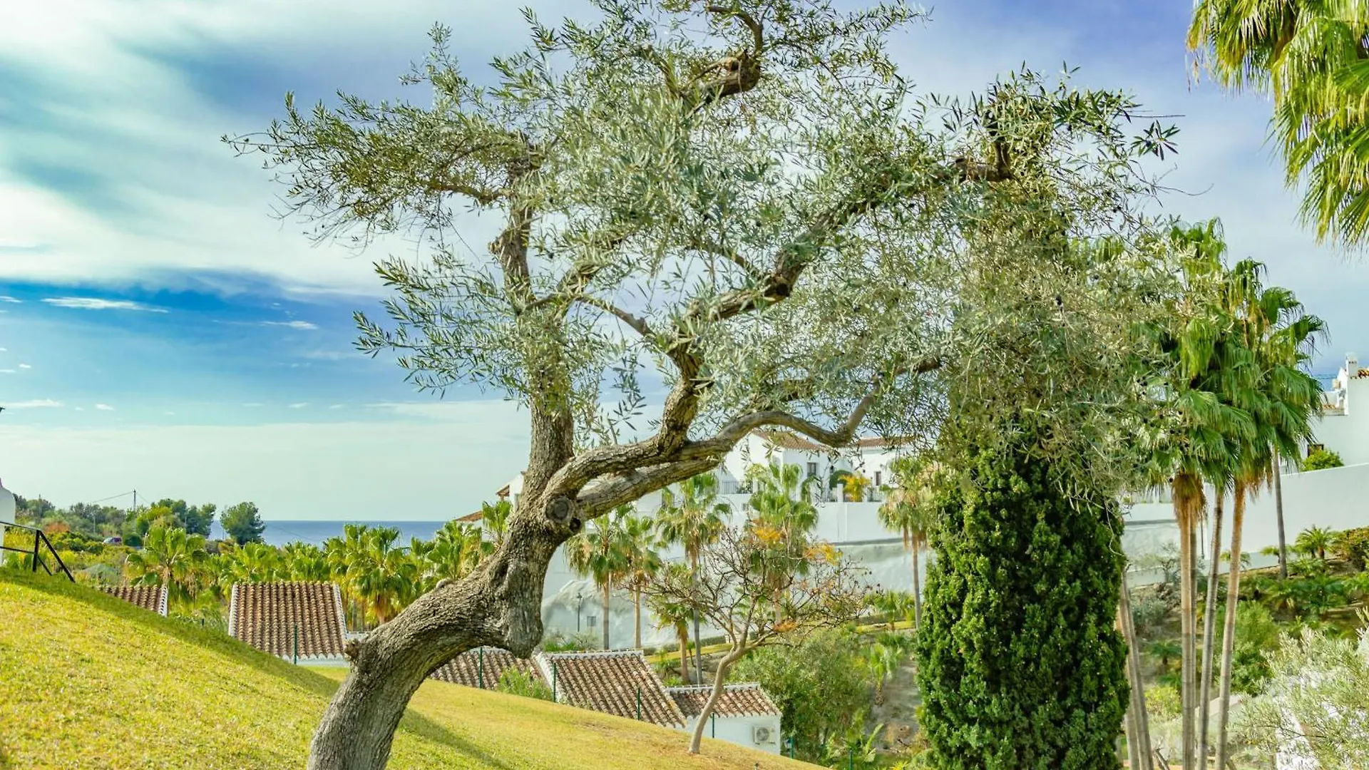 Apartment Rabat 6 Oasis Properties Nerja