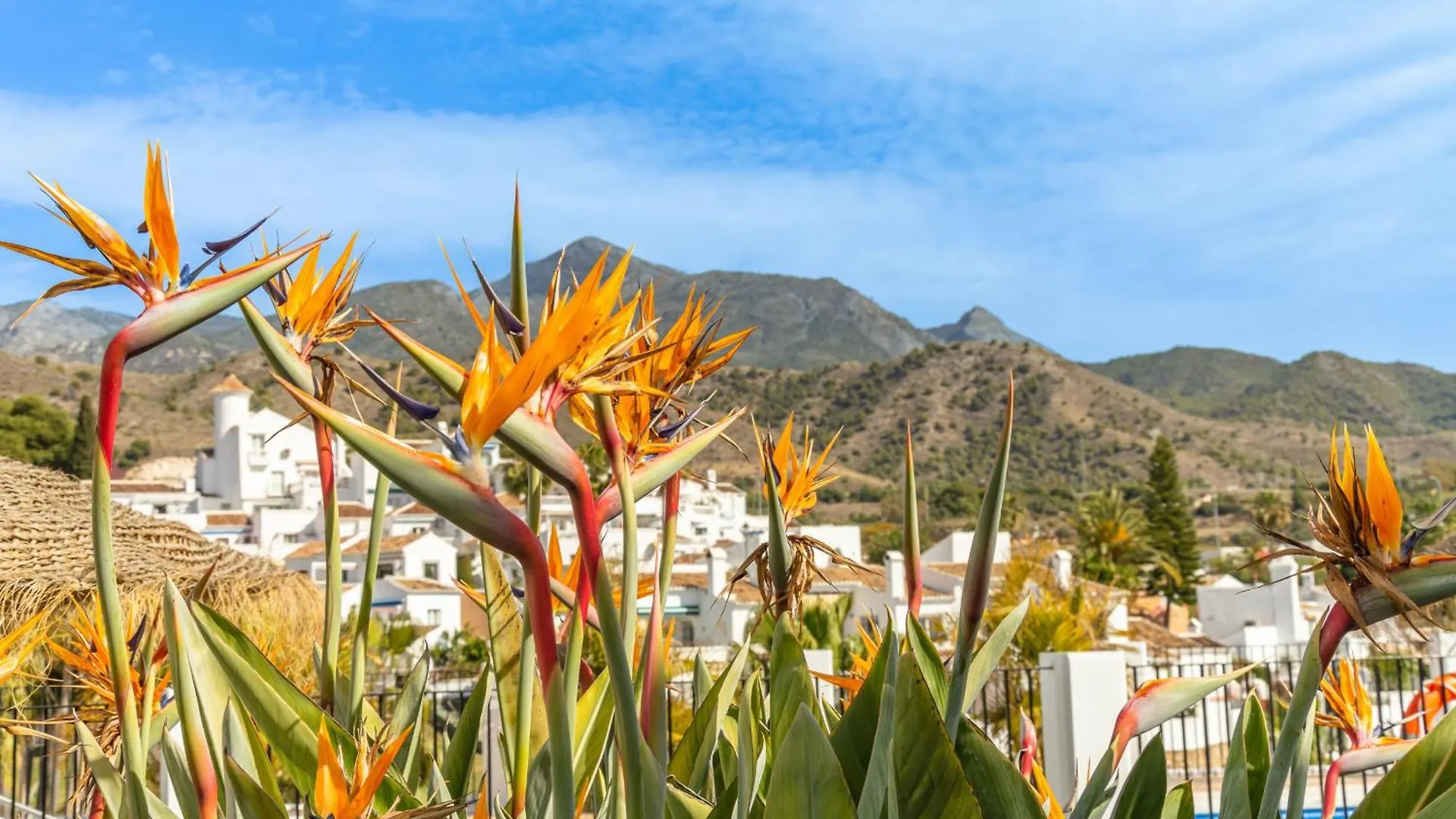 Apartment Rabat 6 Oasis Properties Nerja